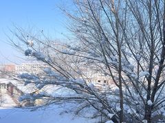 -天羽烤乳鸽店(财大家属院店)