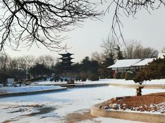 -北京世界公园