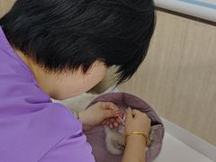 -北京观赏动物医院·24小时大型综合·猫专科·异宠专科
