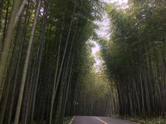 -漫山居私汤民宿全竹宴