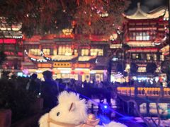 -绿波廊(豫园店)