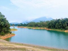 -广州市流溪河国家森林公园