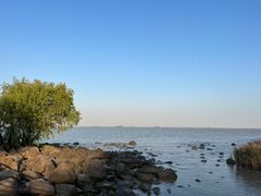 -上海吴淞炮台湾国家湿地公园