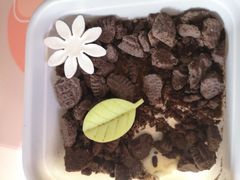 -首都机场T3航站楼商务CIP贵宾厅