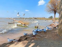 -捞渔河湿地公园