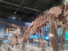 -国家自然博物馆