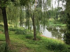 -东郊湿地公园