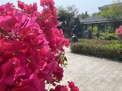 -大亚湾红树林城市湿地公园