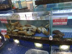 象牙蚌-欢乐海岸美食联盟