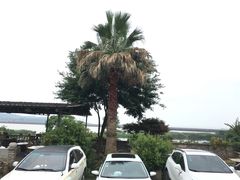 -亮河湾山庄