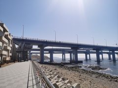 -星海湾跨海大桥