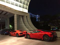-新加坡丽思卡尔顿美年酒店