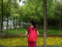 -艾溪湖湿地公园