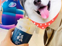 -春丽小马(济南恒隆广场店)