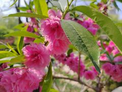 -元大都城垣遗址公园