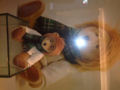 泰迪熊博物馆-济州岛泰迪熊博物馆