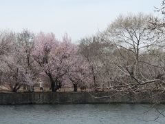 -北陵公园