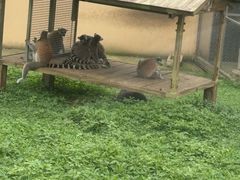 -合肥野生动物园