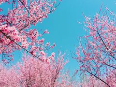 -白塘生态植物园