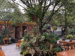 -青城甲(青城山店)