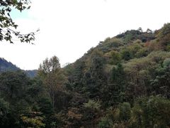 -祁门牯牛降观音堂风景区