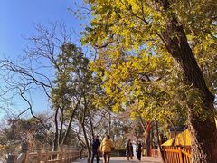 -灵岩山风景区