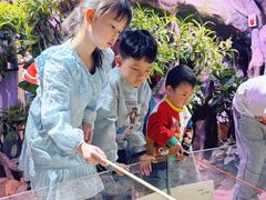 -正佳雨林生态植物园