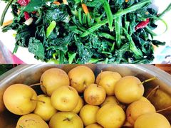 人参菜-北京龙庆四季香农家饭庄·灶台鱼·碳烤虹鳟鱼(龙庆峡店)