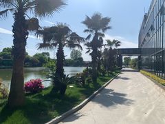 -桃园农庄·桃源宴