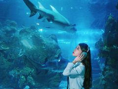 -江和美海洋公园