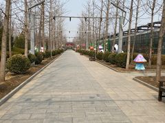 -南宫五洲植物乐园