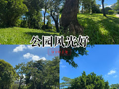 -莲花山公园