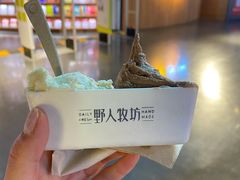 -野人牧坊Gelato(天津南开大悦城店)