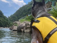 -安吉龙王山峡谷漂流