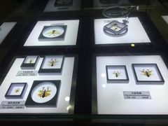 -上海昆虫博物馆