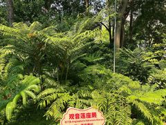 -成都市活水公园