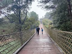 -铁山坪森林公园