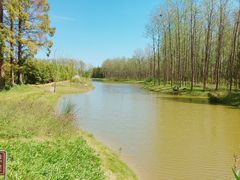 -黄海国家森林公园