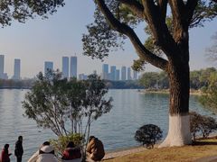 -长沙富力万达文华酒店