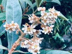 -广州神农草堂中医药博物馆