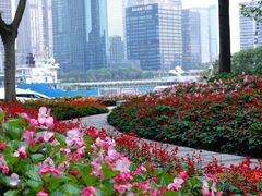 -北外滩滨江绿地