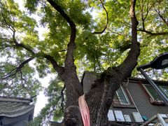 -北京市宏庙小学