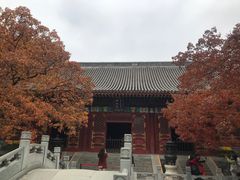 -香山公园