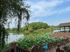 -上海市保健医疗中心