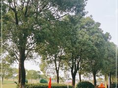 -上海都市菜园