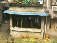 -赵伍面庄(松石大道店)