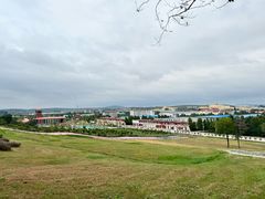 -莱阳濯村樱花园