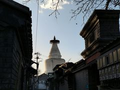 -小胖包子王(阜成门内店)