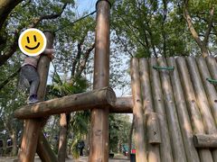 -上海共青森林公园