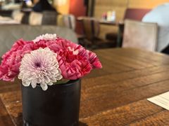 -TOMATITO(无限极荟店)